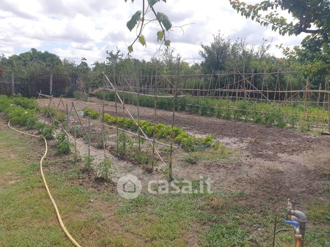 Terreno agricolo in commerciale in Viale Brigate Partigiane 1