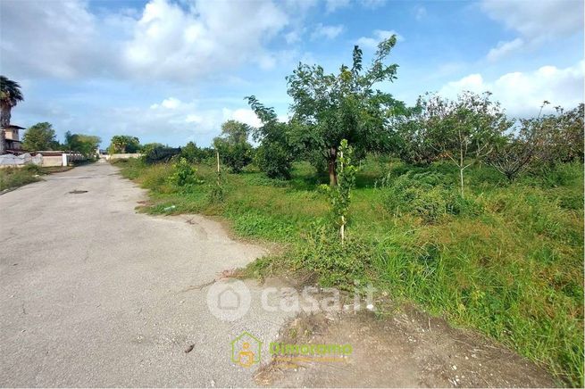 Terreno agricolo in commerciale in Strada Senza Nome