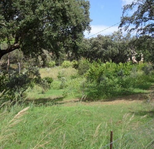 Terreno edificabile in residenziale in Contrade Hollo Vatalara FFhocchio