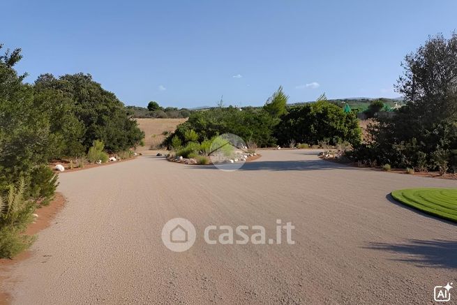 Terreno agricolo in commerciale in Via San Teodoro