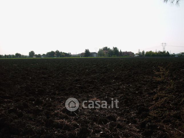 Terreno agricolo in commerciale in Via Montescudo 150