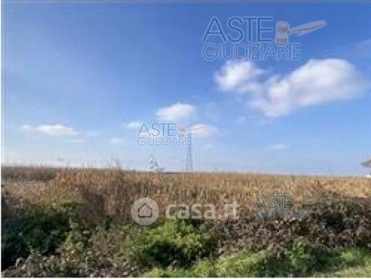 Terreno agricolo in commerciale in Via Collarea