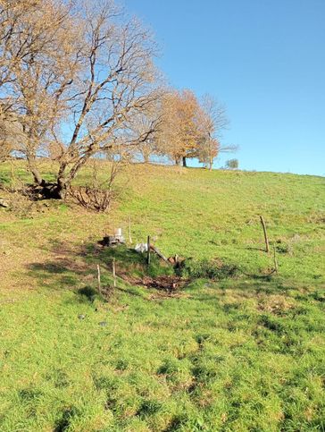 Terreno agricolo in commerciale in 