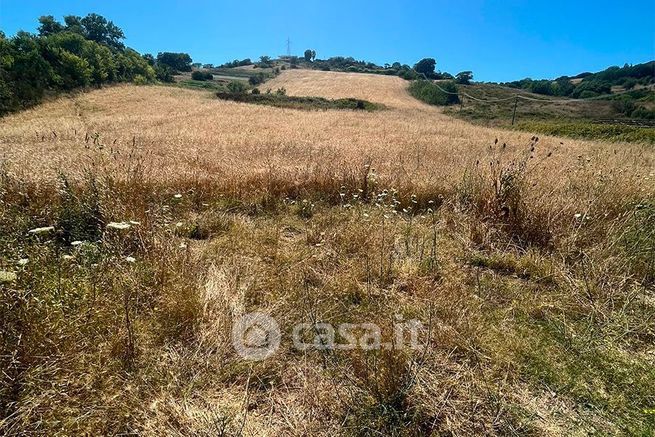 Terreno agricolo in commerciale in Località Sciatalone