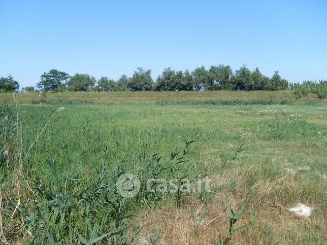 Terreno edificabile in residenziale in Viale della Murena