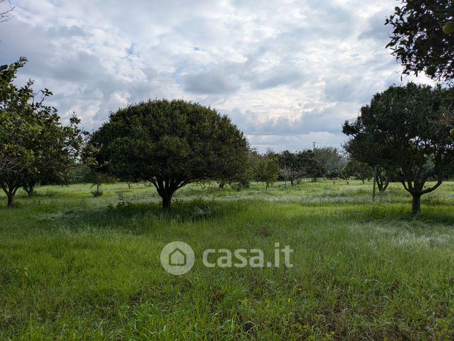 Terreno agricolo in commerciale in Strada Vicinale Agliadò