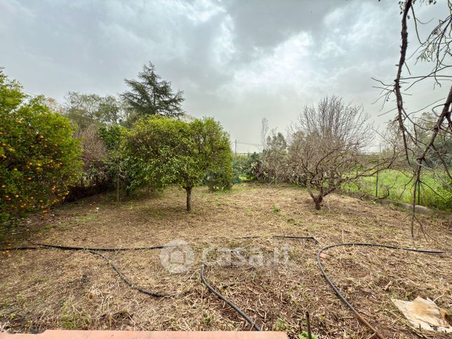 Terreno agricolo in commerciale in Contrada Piano del Re