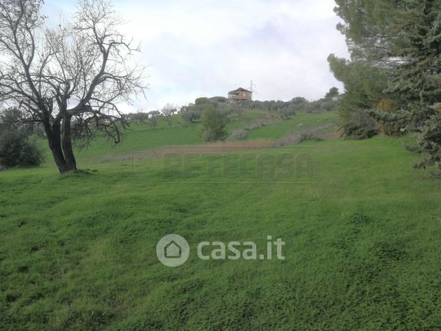 Terreno agricolo in commerciale in Contrada due fontane