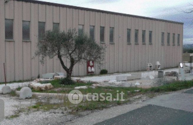 Capannone in commerciale in Strada Provinciale 383