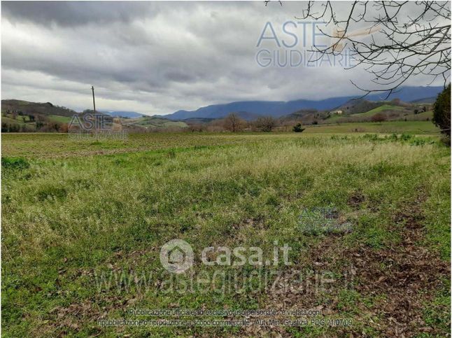Terreno agricolo in commerciale in Via Antonio Garofoli