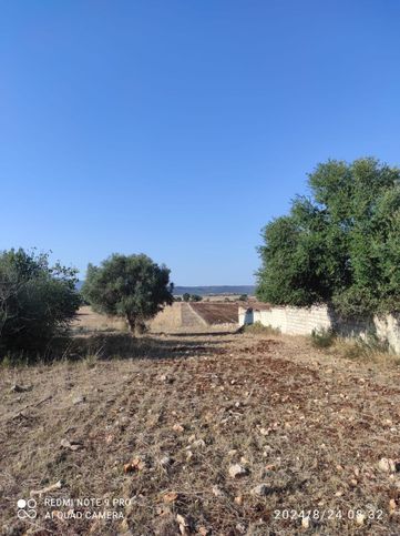 Terreno agricolo in commerciale in Contrada Finocchieta