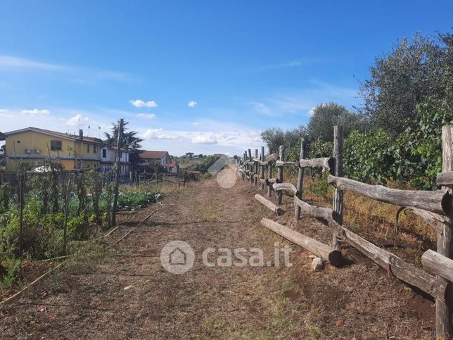 Terreno agricolo in commerciale in Via Tor Paluzzi