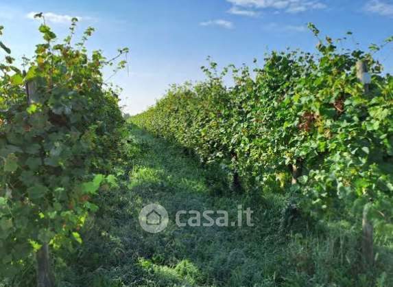 Terreno agricolo in commerciale in Via Patrioti