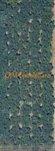 Terreno agricolo in commerciale in 