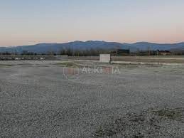 Terreno agricolo in commerciale in Via Caorsana 55