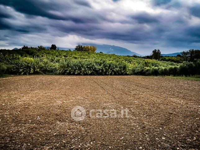 Terreno agricolo in commerciale in Via Piana di Vicario