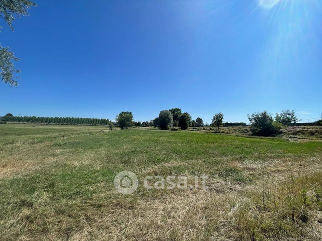 Terreno agricolo in commerciale in Via Geriglio