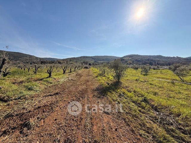 Terreno agricolo in commerciale in Strada provinciale dell'accesa