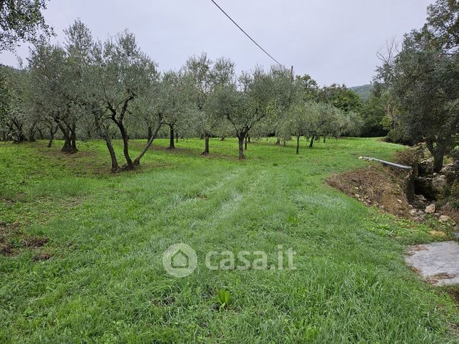 Terreno agricolo in commerciale in 