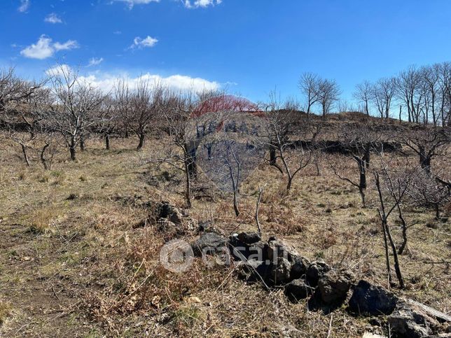 Terreno agricolo in commerciale in Strada Senza Nome