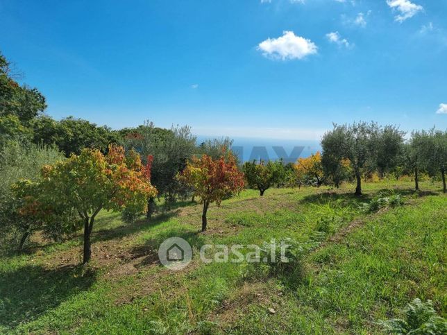 Terreno edificabile in residenziale in Strada Provinciale Nunziata Puntalazzo