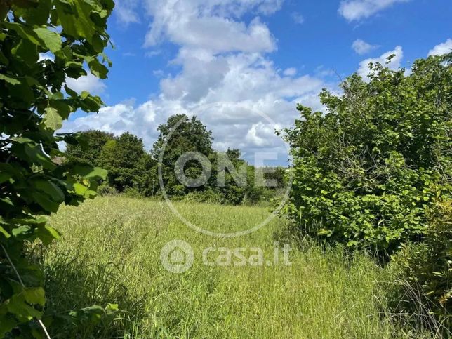 Terreno agricolo in commerciale in Via dei Tigli 20