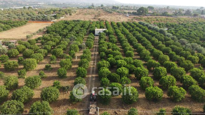 Terreno agricolo in commerciale in Via Dulcamara