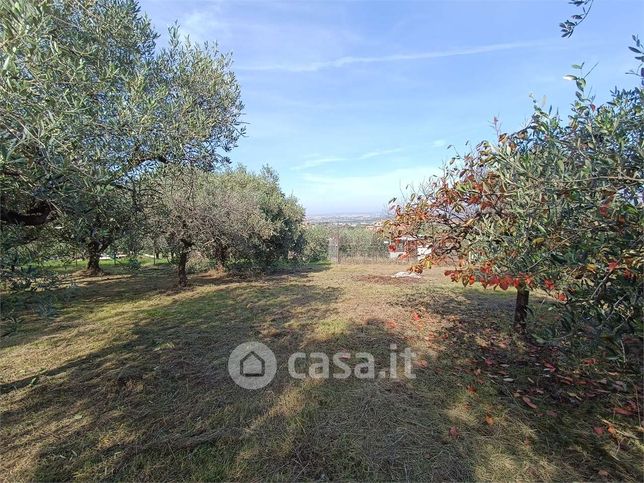 Terreno agricolo in commerciale in Via di Colle Mattia 300