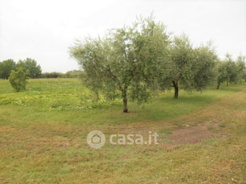 Terreno agricolo in commerciale in