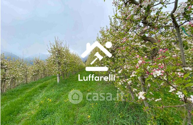 Terreno agricolo in commerciale in Via Stazione