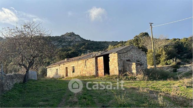 Terreno agricolo in commerciale in Strada Senza Nome