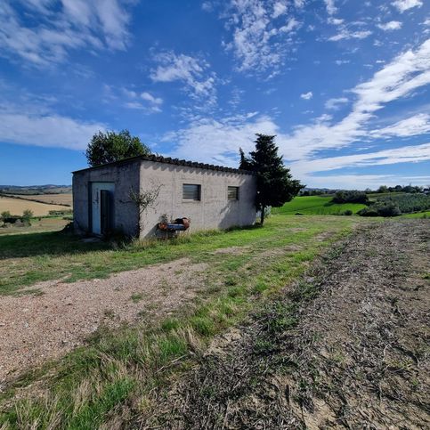 Terreno agricolo in commerciale in Via Pulzona