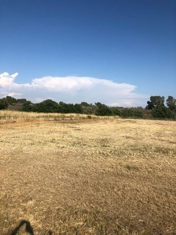 Terreno agricolo in commerciale in Via di Gricciano