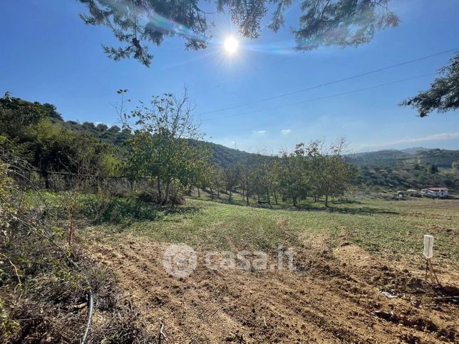 Terreno agricolo in commerciale in Contrada Villa Erminia