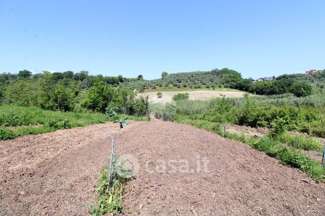 Terreno agricolo in commerciale in Via Cagnani 1