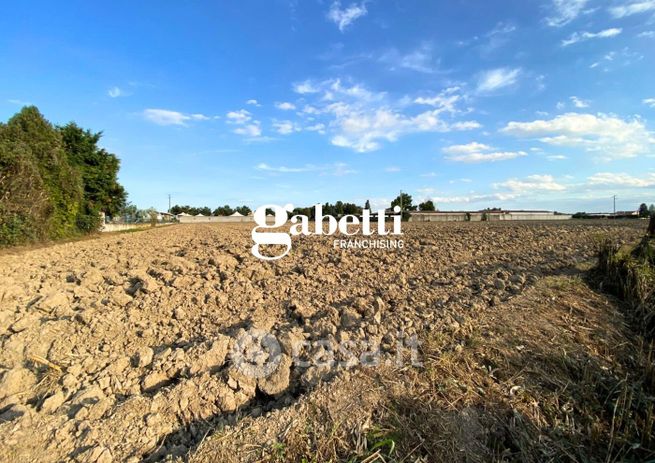 Terreno agricolo in commerciale in Via Granze