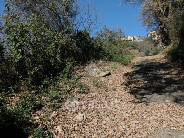 Terreno edificabile in residenziale in Via della Concuccia