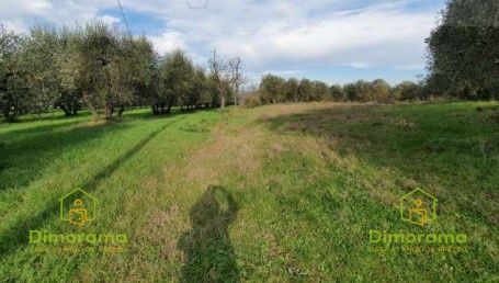 Terreno agricolo in commerciale in Via Orazio Bacci