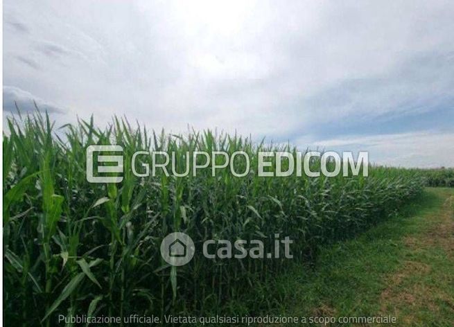 Terreno agricolo in commerciale in Vicolo Servetta