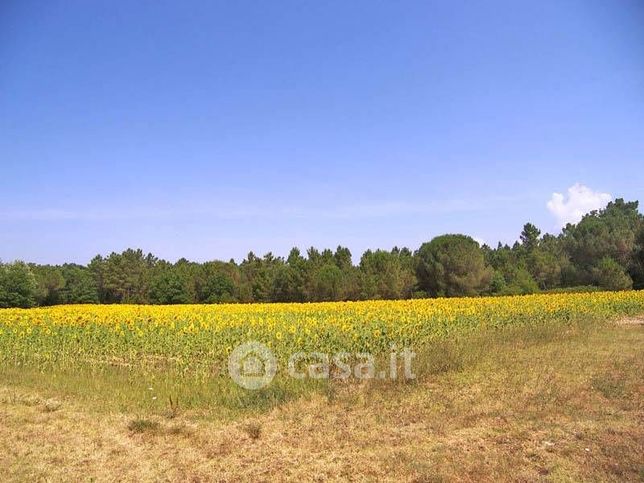 Terreno agricolo in commerciale in 