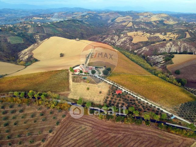 Terreno agricolo in commerciale in Strada Provinciale 1