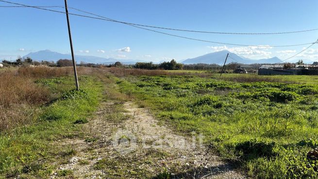 Terreno agricolo in commerciale in Via Gino Birindelli