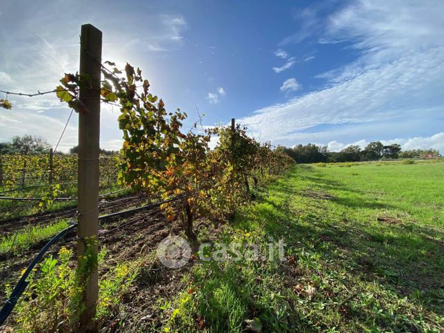 Terreno agricolo in commerciale in 