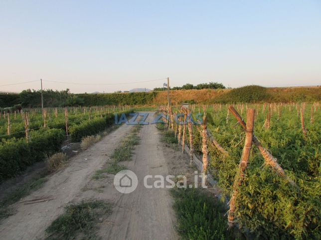 Terreno agricolo in commerciale in Via spiniello 100