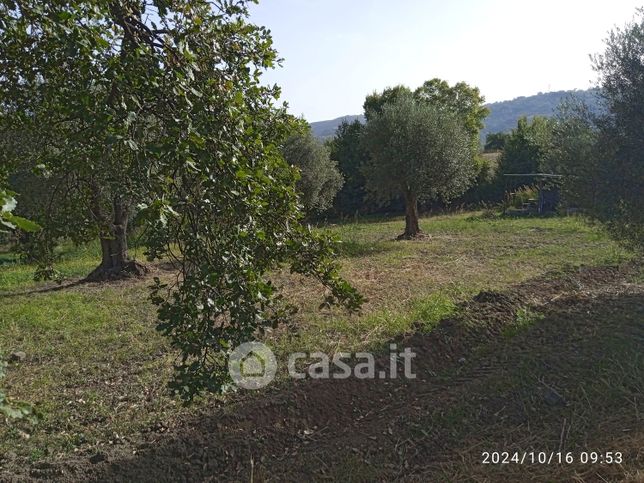 Terreno agricolo in commerciale in Località CANDRILLI