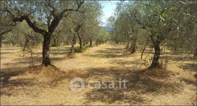 Terreno agricolo in commerciale in 