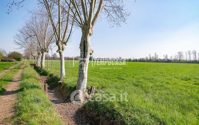 Terreno agricolo in commerciale in Via Cimbardi