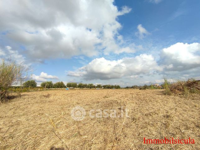 Terreno agricolo in commerciale in Via del Sedano