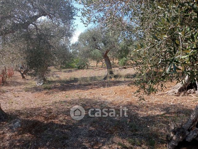 Terreno agricolo in commerciale in Strada Provinciale 161