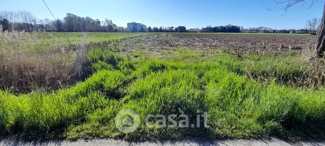 Terreno agricolo in commerciale in Via Sant'Osvaldo